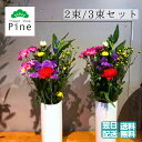 お墓参り 生花 (2束 セット) 花 花束 ギフト バッグ 2024 エコバッグ 送料無料 プチギフト 優しい気持ち 線香セットと一緒に用意 大切な方の供養に 気軽にお花を手配 心を込めてお供え 季節感 お墓参りにピッタリ リーズナブル 大切な人を偲ぶ