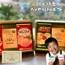 カメヤマ レトロ ギフト コラボ お線香 プレゼント プチギフト コーヒー 送料無料 お菓子 いちご かわいい 母の日 フラワーショップパイン