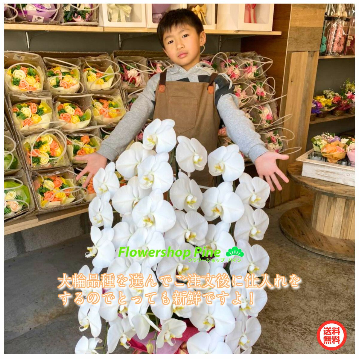 10 Off 鉢花 コチョウラン 5本 立ち 大輪胡蝶蘭 お悔やみ 花 お花 鉢植え ギフト 蘭 ラン 法事 お供え花 送料無料 花鉢 花柄 誕生日 正月 プレゼント クリスマス を 贈る 送料 無料 一 周 10 Off 鉢花 コチョウラン 5本 立ち 大輪胡蝶蘭 お悔やみ 花 お花 鉢植え ギフト 蘭 ラン 法事 お供え花 送料無料 花鉢 花柄 誕生日 正月 プレゼント クリスマス を 贈る 送料 無料 一 周