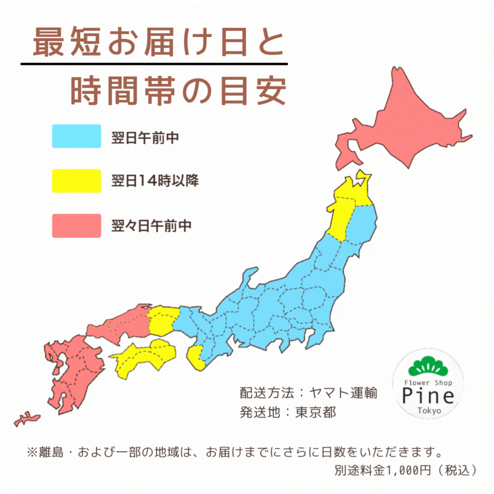 安い フラワーアレンジメント アンティーク調 誕生日 おしゃれ クリスマス 花 花柄 ギフト アレンジメント プレゼント を 贈る 送料 無料 宅配 フラワーギフト クリスマス ボリューム 送料無 Coastalfamilymed Com 安い フラワーアレンジメント アンティーク調 誕生日 おしゃれ クリスマス 花 花柄 ギフト アレンジメント プレゼント を 贈る 送料 無料 宅配 フラワーギフト クリスマス ボリューム 送料無 Coastalfamilymed Com