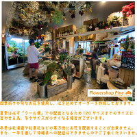 あす楽 一 法事 お供え花 おしゃれ フラワーアレンジメント 60cmxl 宅配 花 無料 仏花 生花 お供え 一周忌 を 贈る 送料 無料 フラワーギフト お悔やみ 枕花 お悔やみ お供え お悔み お供え 正月 一 周忌 お花 贈る 送料無料 アレンジメント ギフト おしゃれ あす楽 一 法事 お供え花 おしゃれ フラワーアレンジメント 60cmxl 宅配 花 無料 仏花 生花 お供え 一周忌 を 贈る 送料 無料 フラワーギフト お悔やみ 枕花 お悔やみ お供え お悔み お供え 正月 一 周忌 お花 贈る 送料無料 アレンジメント ギフト おしゃれ