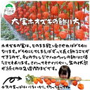 flowershoppine:10000480のサンプル画像3