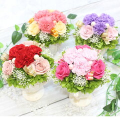 https://thumbnail.image.rakuten.co.jp/@0_mall/flowershoptrancess/cabinet/0530-39-03.jpg