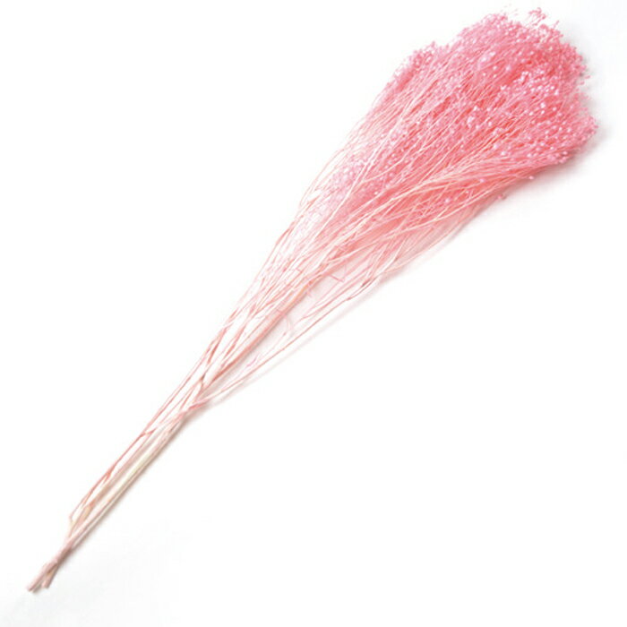 【プリザ】フロールエバー/ブルーム/1束/約20g/ピンク/FL833-860