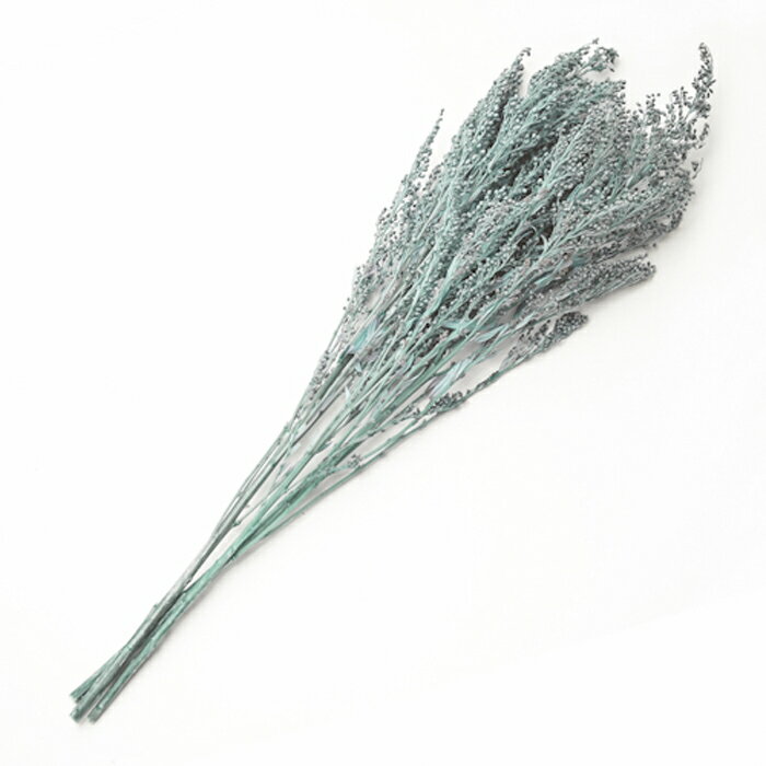 【プリザ】フロールエバー/ソリダゴ/1束/約3本/ミストグリーン/FL470-42