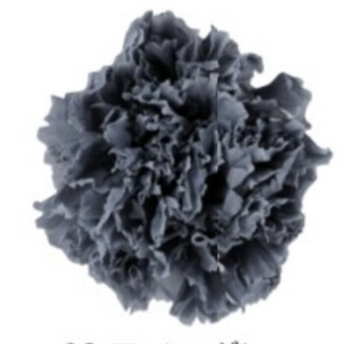 【プリザ】フロールエバー/スタンダードカーネーション/1箱/6輪/アッシュグレー/FL1100-68