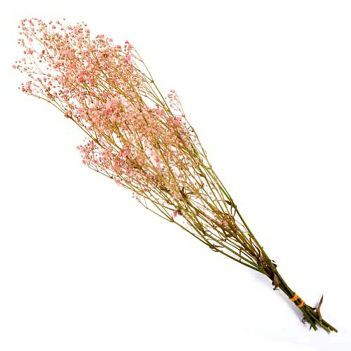 【アフターセール開催中】【プリザーブドフラワー】フロールエバー/カスミソウ/約20g/ピンク/FL830-860