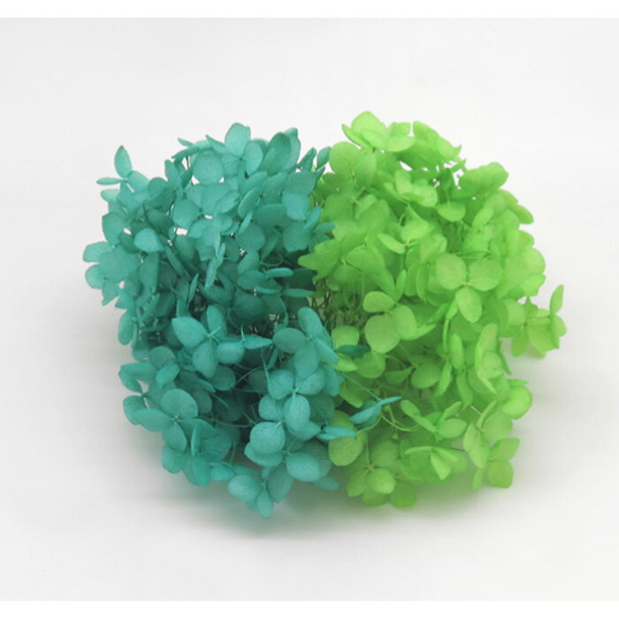 【プリザーブド】東北花材 ソフトアナベルキャンディBOX 全10カラー ピーコックグリーン&シャイニーグ..