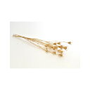 【アフターセール開催中】【ドライ】フロールエバー/シャイニーニゲラ・ドライ/1束/約20g/ゴールド/FLDRS025-701