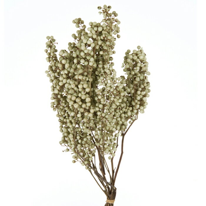 【プリザーブド】ペッパーベリー・プリザーブド/クリアグリーン/1束/03380-721