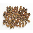【ドライ】大地農園/ミニツガ・N/約50g/約60〜80個/約1〜1.7cm/22720-000