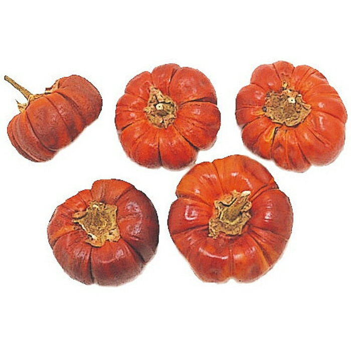 【ドライ】大地農園/ソラナム・大小・アソート・N/4個/20112-000