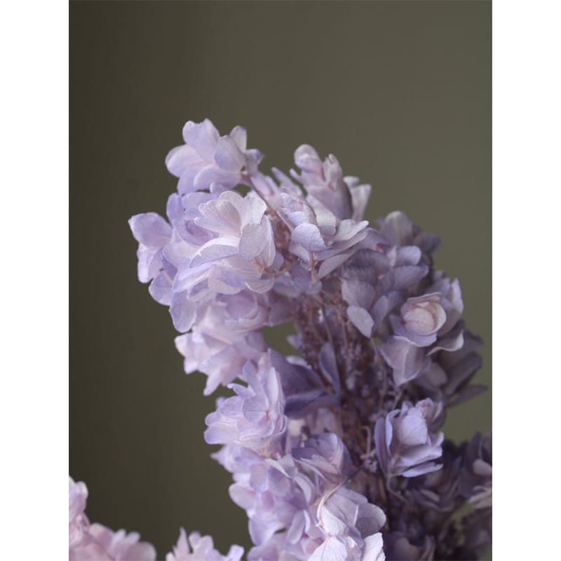 【プリザーブドフラワー】大地農園/カシワバアジサイ/グランデーション加工/約2輪/ピンクパープル/0107..