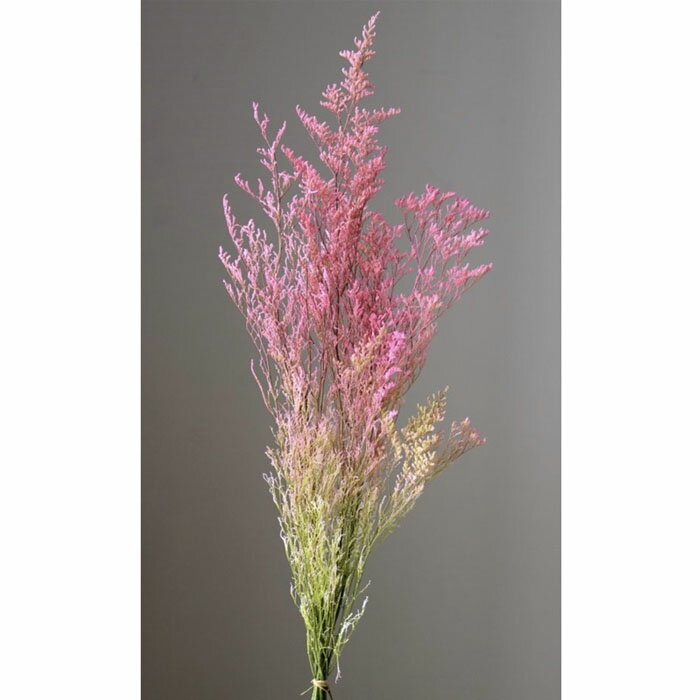 【プリザ】大地農園/カスピア/1束/約27g/ピンク／グリーン/03715-170