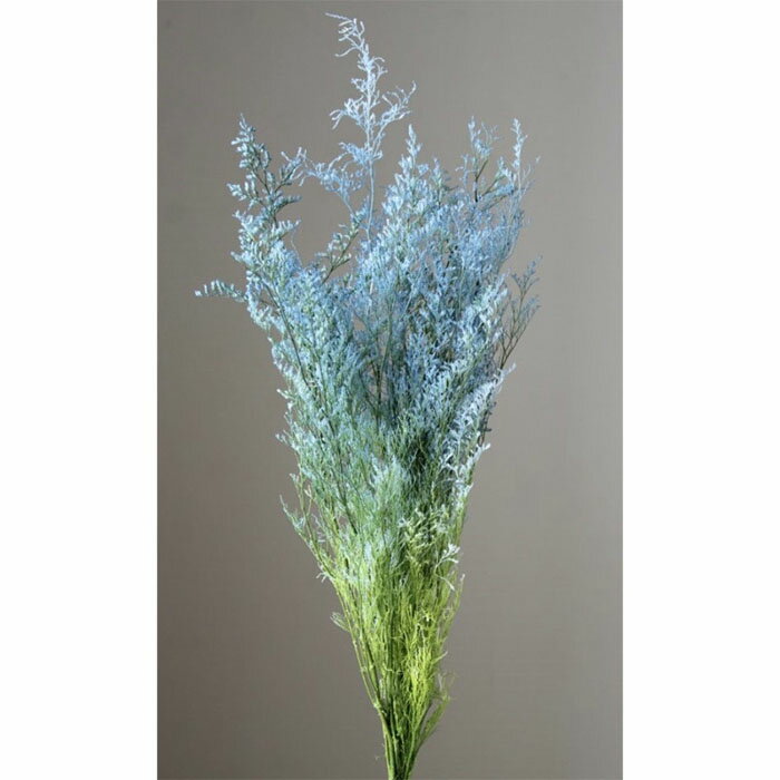 【プリザ】大地農園/カスピア/1束/約27g/ブルー／グリーン/03715-670