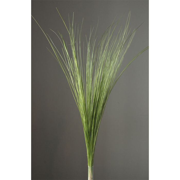 【ドライ】大地農園/レインボーグラス 約50g スプリンググリーン/03930-781