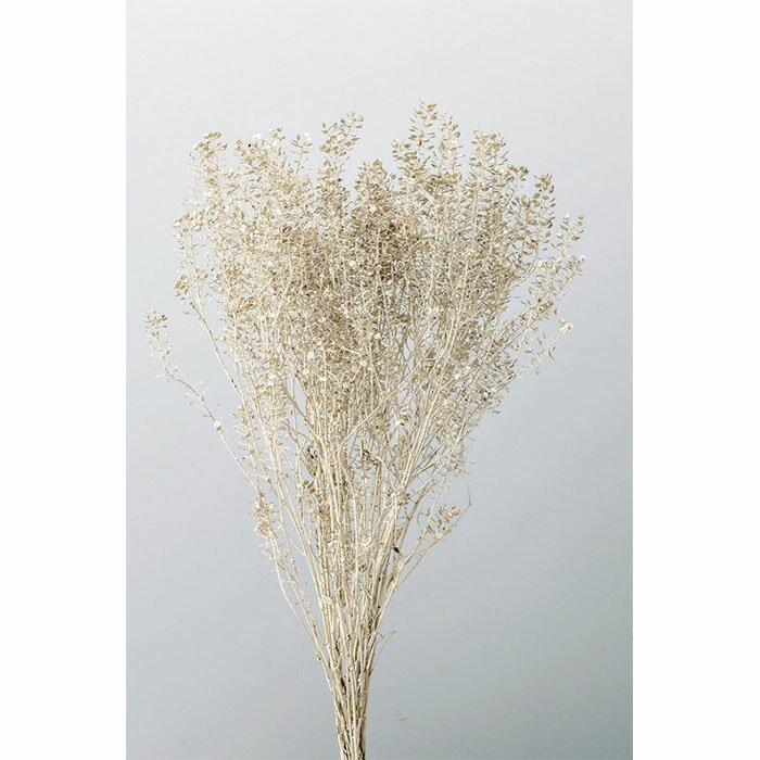 【プリザーブドフラワー】大地農園/ペティーコート/22g/プラチナ/04050-932