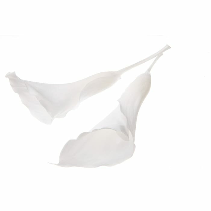 【プリザーブドフラワー】カラーリリー・大/3輪/白/05502-010