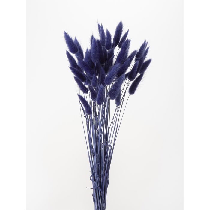 【プリザ】大地農園/ラグラス/1束/約15g/ネイビー/42050-661