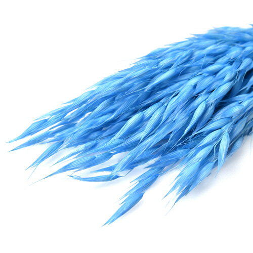 【ドライ】フロールエバー/アベーナ・ドライ/1束/約30g/ライトブルー/FLDR0021-940