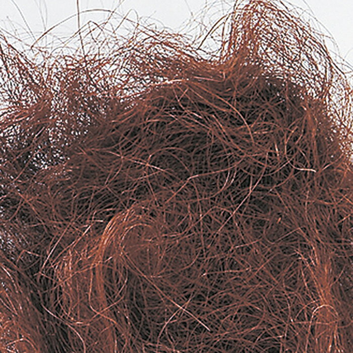 【ドライ】東北花材/シサル麻/1袋/約40g/カフェブラウン/73834