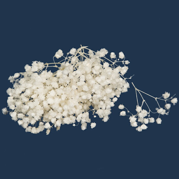 【プリザーブドフラワー】大地農園/カスミ草・オーバータイム/約25g/白/00040-011