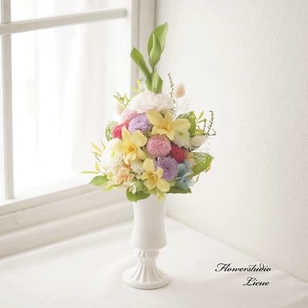 ���ζ���£��ʪ ������ڥåȤؤΤ������� �����Υ���� ���ƥץꥶ���֥ɥե� ���� ������ ���� �ץꥶ���֥ɥե� �Ϥ�ʤ����� �礭��ʩ�� �ؤι⤤...