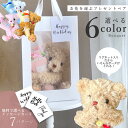お花を運ぶプレゼントベア 【 送料無料 】 テディベア くま好き プレゼント くまのぬいぐるみ ぬいぐるみ くま 誕生日 歓送迎 卒業祝い 入学祝い 卒業 入学...