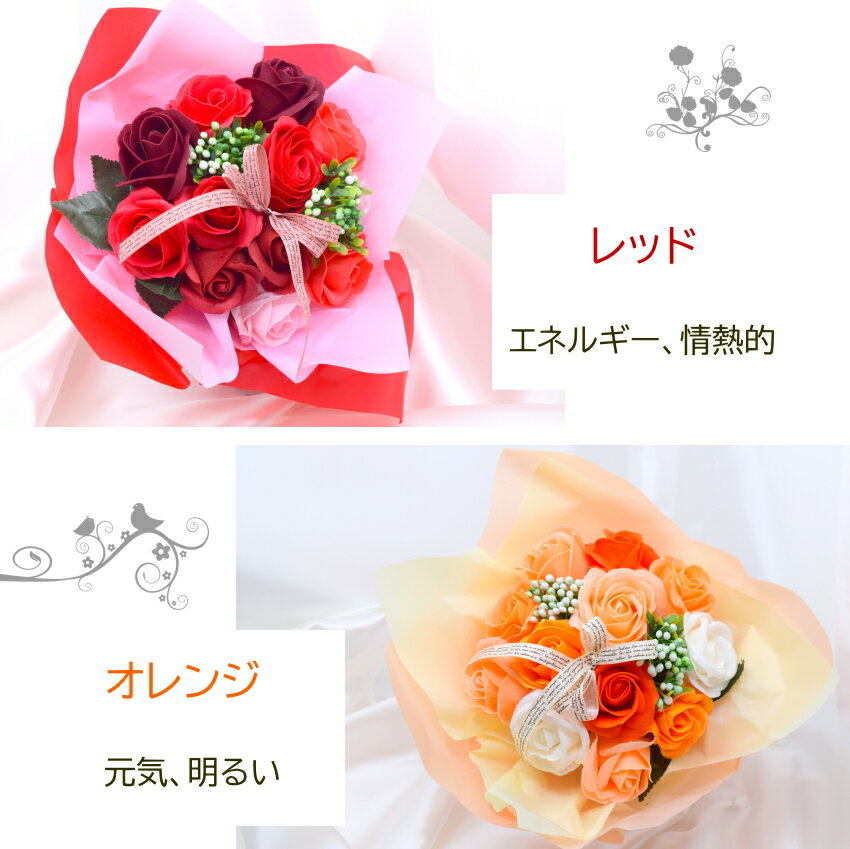 �ץ쥼��� ���ե� �֡��� �Х� ¤�� �����ץե� �֡��������� �и��β� ����ܥ�ե�