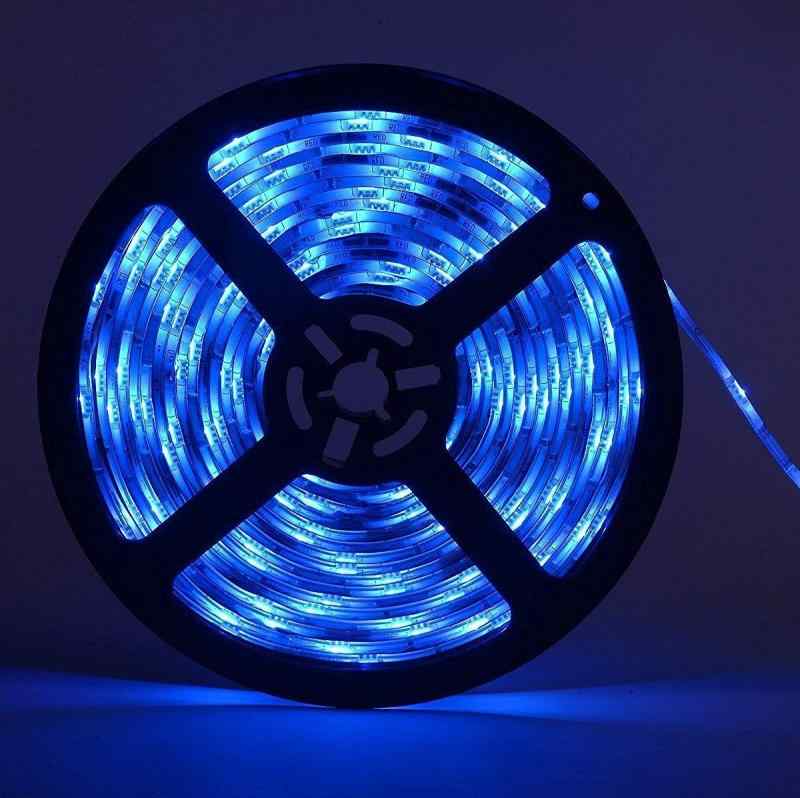 12VĶ⵱ 5M 600Ϣ LEDơ ɿ ǲǽ ١/LED꡼ Ǵξ̥ơ ȯ SMD 2835 (֥롼)