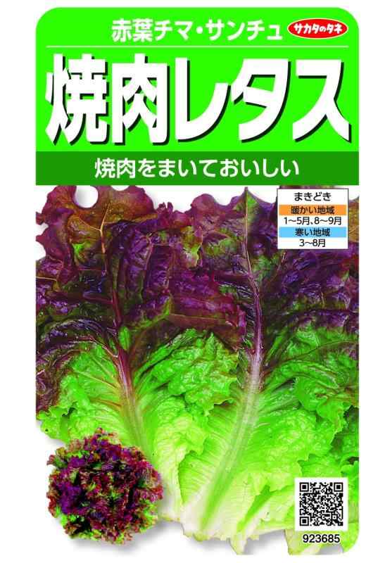 実咲野菜　レタス　焼肉レタス　赤葉チマ・サンチュ　小袋003038