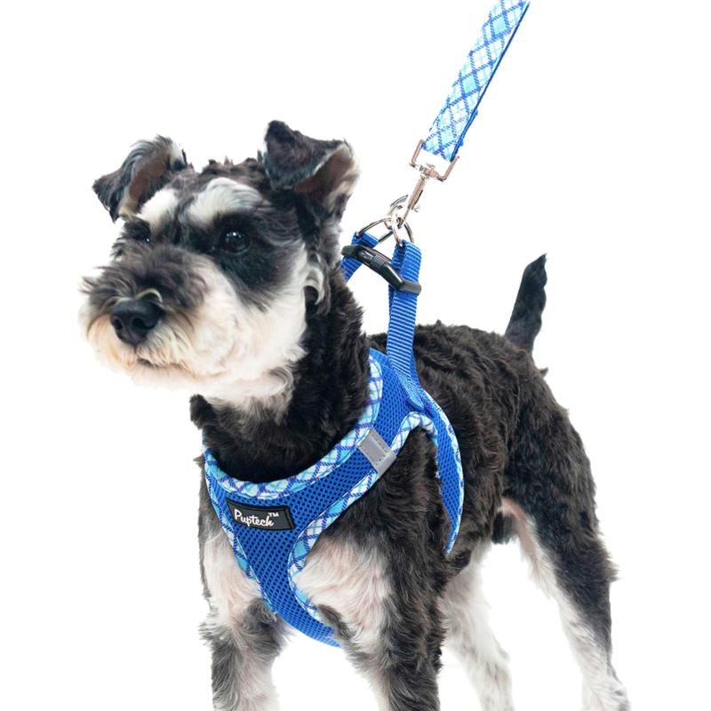 Rakuten - PUPTECK 犬 ハーネス リード セット 抜けない 胴輪 調整可能 軽量 メッシュ 通気性 ソフト 快適 着脱簡単 反射材付き 引っ張り防止 喉に優しい 耐久性 散歩 アウトドア 安全 老犬介護 しつけ お