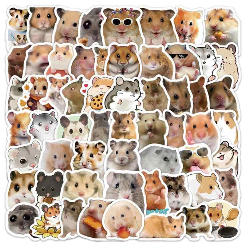 �ϥॹ����������60�硢�Ҷ��ľ�ǯ��͡������������ɿ�ӥˡ��륷����Хå����ӡ��Ρ��ȥѥ����󡢥������������ȥܡ��ɡ���ʪ���������� (�ϥॹ����ɤ)