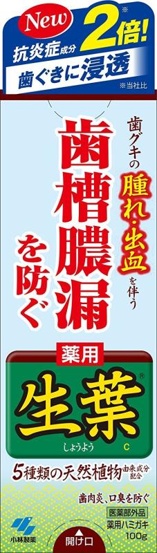 樂天商城 - 生葉(しょうよう) 歯槽膿漏を防ぐ 薬用ハミガキ ハーブミント味 100g × 4個