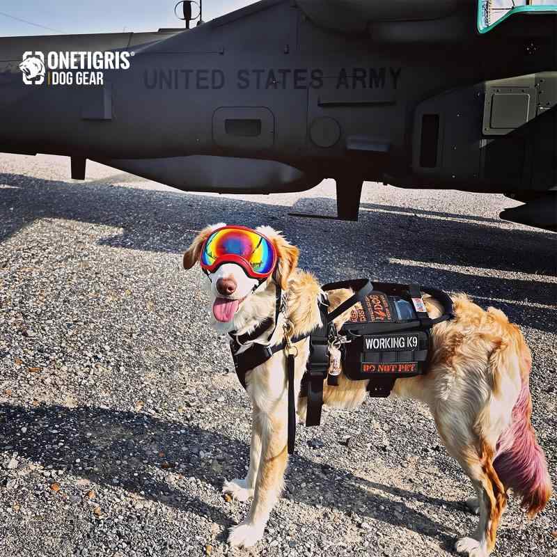 NewageOfficeflowingのOneTigris 犬用ハーネス セット ドッグパック 胴輪 バッグ 中型犬 大型犬 バックパック一体型ハーネス 1000Dナイロン サービス犬 散歩/訓練/お出掛 ペット 着脱簡単 引っ張り防止 引っ張り防止｜アングル3