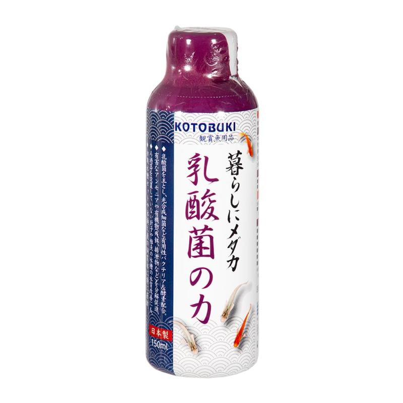 寿工芸 コトブキ メダカ 乳酸菌の力 150ml