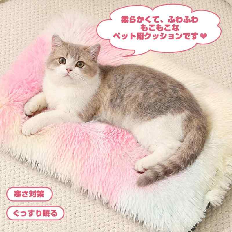 サンプル画像2
