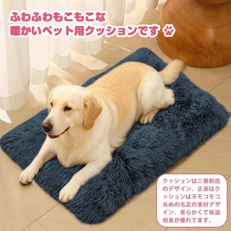 サンプル画像3