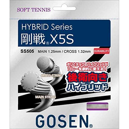ゴーセン(GOSEN) 剛戦X5S SS505