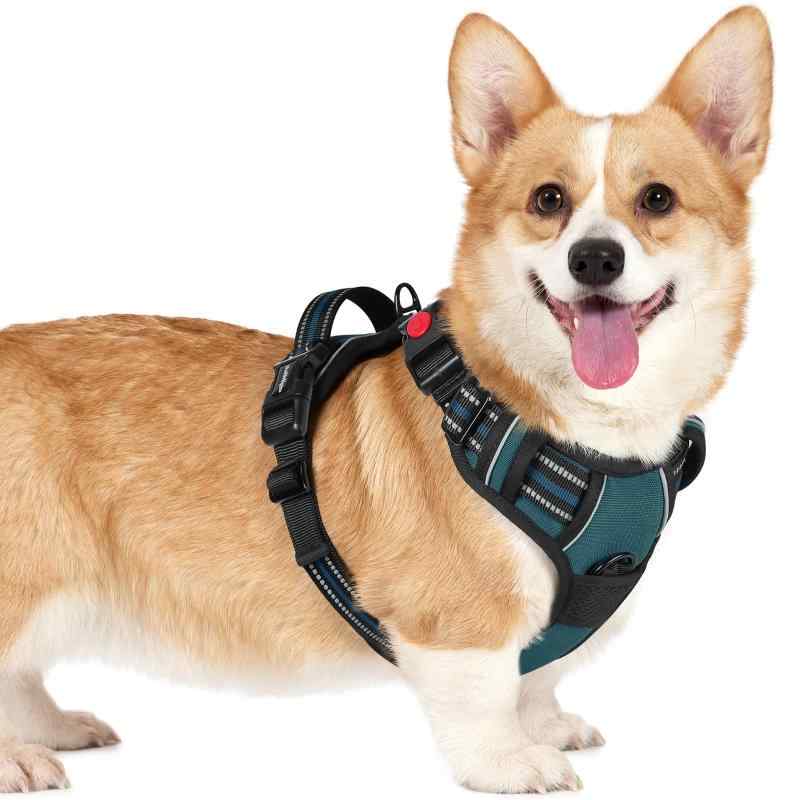 [最新型犬ハーネス]rabbitgoo 犬 ハーネス 犬用胴輪 小型犬/中型犬/大型犬 引っ張り防止 (ダークグリーン S)ぴったりフィット感を実現：四ヶ所に調整可能な部分があり、ほとんどの犬種に適応し、自由な動きを確保しながらフィットします。首回りと胴回りにそれぞれ2つのストラップが付いているので、急成長期の犬のために特別に作られました。 サイズ情報：首回り39.9～48.8cm、胸回り36.6～57.4cm。着脱が楽で使いやすい：この犬用ハーネスは、首に1つ、胸に2つのバックルが付いているため、合計で3つのバックルがあり、着脱が非常に簡単です。犬の頭を通さずに装着できるため、毎回フィット感を調整する必要がありません。また、ご愛犬にとって咳き込みを軽減し、窮屈にも感じません。超安全なデザイン：この犬用ハーネスは丈夫なオックスフォード生地を使用し、強化された縫い目によって耐久性が高められています。首元のロックバックルは安全なフィットをし、極度の圧力下でも外れることを防ぎます。広範囲に光を反射するため、暗い夜道でも目立ち、遠くから注意を引き、夜の散歩などがより安心になります。耐久性が良い・柔らかい材質：内側には柔らかいスポンジメッシュを使用しており、ふわふわで擦れません。通気性が高く、長時間着用しても着心地が良いため、着たり脱いだりする手間が省けます。また、広めのデザインのハンドルにより、ワンちゃんの動きをより良く制御でき、安全性が確保されます。多様な使用シーンに対応：引っ張り防止の犬用ハーネスには、2つの金属製リーシュ取り付けポイントがあり、日常の散歩、ジョギング、ランニングなどの様々な活動に適しています。さらに、人間工学に基づいて設計されたトップハンドルは、追加のトレーニングサポートや持ち運びも便利です。