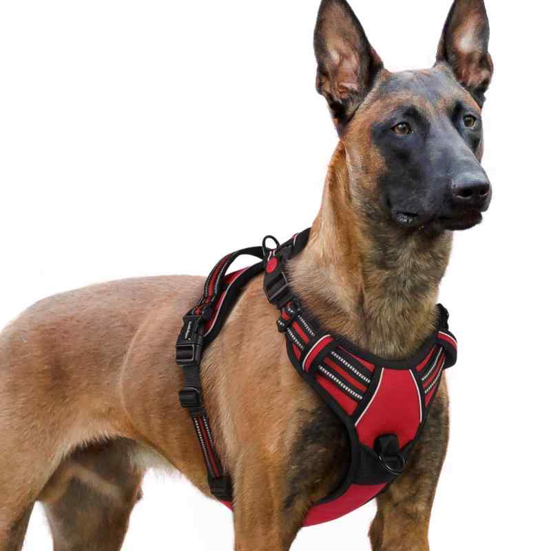 [最新型犬ハーネス]rabbitgoo 犬 ハーネス 犬用胴輪 小型犬/中型犬/大型犬 引っ張り防止 (レッド XL)ぴったりフィット感を実現：四ヶ所に調整可能な部分があり、ほとんどの犬種に適応し、自由な動きを確保しながらフィットします。首回りと胴回りにそれぞれ2つのストラップが付いているので、急成長期の犬のために特別に作られました。 サイズ情報：首回り61.5～80.5cm、胸回り75.4～95.5cm。着脱が楽で使いやすい：この犬用ハーネスは、首に1つ、胸に2つのバックルが付いているため、合計で3つのバックルがあり、着脱が非常に簡単です。犬の頭を通さずに装着できるため、毎回フィット感を調整する必要がありません。また、ご愛犬にとって咳き込みを軽減し、窮屈にも感じません。超安全なデザイン：この犬用ハーネスは丈夫なオックスフォード生地を使用し、強化された縫い目によって耐久性が高められています。首元のロックバックルは安全なフィットをし、極度の圧力下でも外れることを防ぎます。広範囲に光を反射するため、暗い夜道でも目立ち、遠くから注意を引き、夜の散歩などがより安心になります。耐久性が良い・柔らかい材質：内側には柔らかいスポンジメッシュを使用しており、ふわふわで擦れません。通気性が高く、長時間着用しても着心地が良いため、着たり脱いだりする手間が省けます。また、広めのデザインのハンドルにより、ワンちゃんの動きをより良く制御でき、安全性が確保されます。多様な使用シーンに対応：引っ張り防止の犬用ハーネスには、2つの金属製リーシュ取り付けポイントがあり、日常の散歩、ジョギング、ランニングなどの様々な活動に適しています。さらに、人間工学に基づいて設計されたトップハンドルは、追加のトレーニングサポートや持ち運びも便利です。