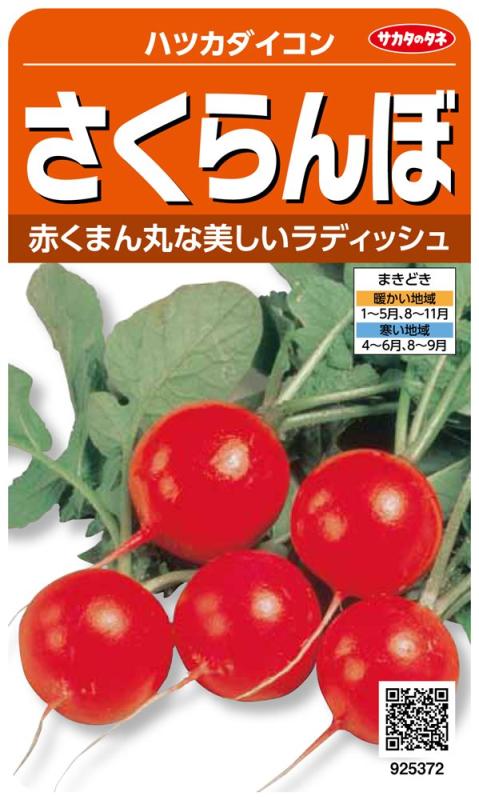 樂天商城 - サカタのタネ 実咲野菜5372 さくらんぼ ハツカダイコン 00925372