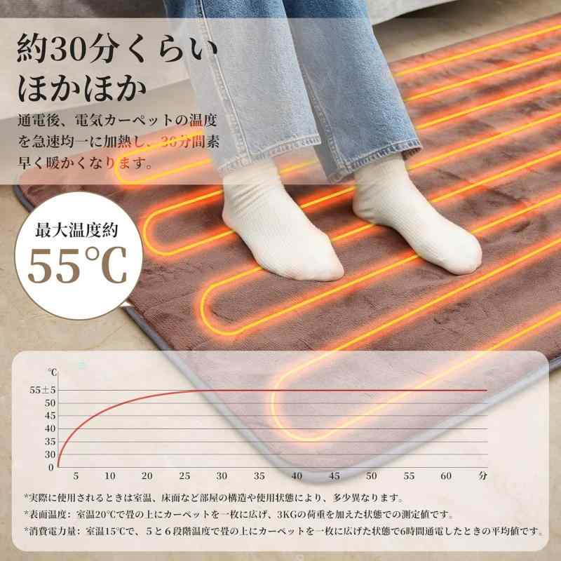 電気カーペット 1畳 180×80cm ダニ退治機能 電気毛布 敷き シングル 6段階温度調節&タイマー機能付き 丸洗い可 ホットカーペット兼用可 頭寒足熱配線 PSE認証済み