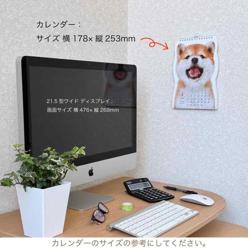 アクティブコーポレーション 2026 カレンダー 壁掛け 柴犬です 26ACL-65 2026年 1月始まり