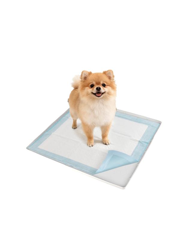 Pawtasy 犬用シリコンマット 滑り止め 犬 トイレ ワイド シリコン 犬用トイレ 防水 溢れ防止
