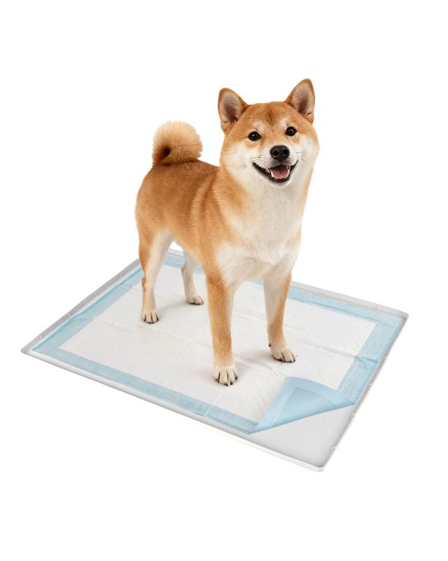 Pawtasy 犬用シリコンマット 滑り止め 犬 トイレ ワイド シリコン 犬用トイレ 防水 溢れ防止