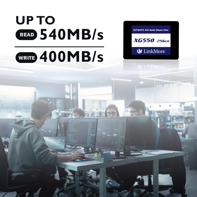 LinkMore XG550 256GB 2.5インチ 内蔵SSD SATAIII 6Gb/s (読込最大500MB/s) 2
