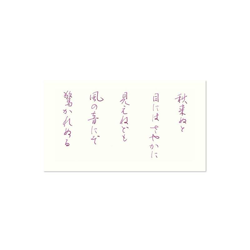 PILOT ��ǯɮ�������� ���̼�/iroshizuku �ߥ˥ܥȥ� 15ml�ڻ���ƺ�� INK15YB