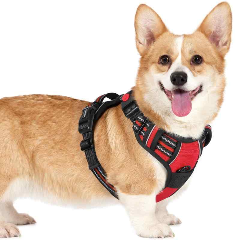 [最新型犬ハーネス]rabbitgoo 犬 ハーネス 犬用胴輪 小型犬/中型犬/大型犬 引っ張り防止 (レッド S)ぴったりフィット感を実現：四ヶ所に調整可能な部分があり、ほとんどの犬種に適応し、自由な動きを確保しながらフィットします。首回りと胴回りにそれぞれ2つのストラップが付いているので、急成長期の犬のために特別に作られました。着脱が楽で使いやすい：この犬用ハーネスは、首に1つ、胸に2つのバックルが付いているため、合計で3つのバックルがあり、着脱が非常に簡単です。犬の頭を通さずに装着できるため、毎回フィット感を調整する必要がありません。また、ご愛犬にとって咳き込みを軽減し、窮屈にも感じません。超安全なデザイン：この犬用ハーネスは丈夫なオックスフォード生地を使用し、強化された縫い目によって耐久性が高められています。首元のロックバックルは安全なフィットをし、極度の圧力下でも外れることを防ぎます。広範囲に光を反射するため、暗い夜道でも目立ち、遠くから注意を引き、夜の散歩などがより安心になります。耐久性が良い・柔らかい材質：内側には柔らかいスポンジメッシュを使用しており、ふわふわで擦れません。通気性が高く、長時間着用しても着心地が良いため、着たり脱いだりする手間が省けます。また、広めのデザインのハンドルにより、ワンちゃんの動きをより良く制御でき、安全性が確保されます。多様な使用シーンに対応：引っ張り防止の犬用ハーネスには、2つの金属製リーシュ取り付けポイントがあり、日常の散歩、ジョギング、ランニングなどの様々な活動に適しています。さらに、人間工学に基づいて設計されたトップハンドルは、追加のトレーニングサポートや持ち運びも便利です。