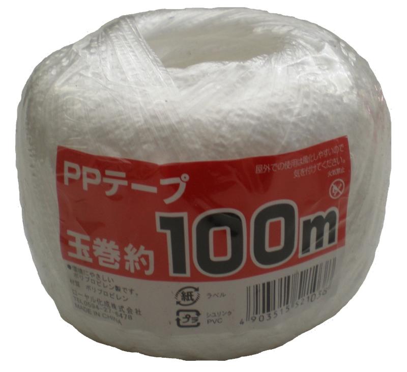 PP�ơ��׶̴�100m